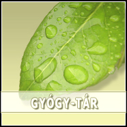 gy�gyt�r